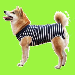 【特価商品】犬用 手術後服 犬術後ウェア 術後保護服 エリザベスカラーに代わる介護服 メス オス兼用 避妊 離乳 傷舐め防止 傷口保護 皮膚保護術後服 犬介護服 排泄に影響しない 背部ボタンデザイン 小型犬 中型犬