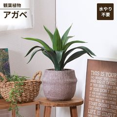 IKEA ✨人工観葉植物 カラテア 鉢・編みカゴ付き 105cm - メルカリ