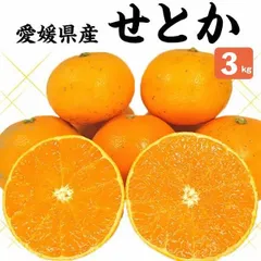 2024年最新】愛媛産 甘平 秀品の人気アイテム - メルカリ