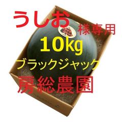 10㎏・うしお様専用・ブラックジャック