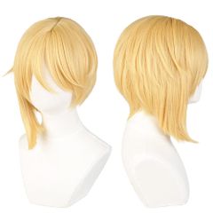 仁兎 なずな cosplay wig 二番目の城 パーティー 変装 +おまけ3点 耐熱コスプレウィッグ 専用ネットと ヘアピンとメモパッド付