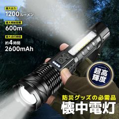 Item thumbnail for item 4bd240c1-5a7a-4419-bc65-7697dc7c7509