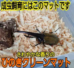 2024年最新】カブトムシ 飼育ケース 幼虫の人気アイテム - メルカリ