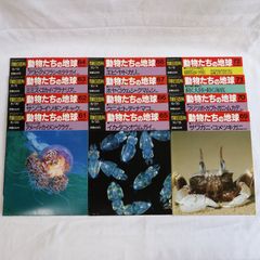 週刊朝日百科　動物たちの地球　第2巻　無脊椎動物　61~72　12冊