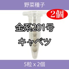 野菜種子 SVA03 金系201号キャベツ 5粒 x 2個