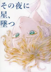 【中古】男性向一般同人誌 ≪オリジナル≫ その夜に星、堕つ / 水際まさかな / 築屋 / 別楽園