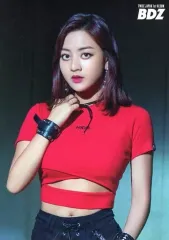 【中古】キャラカード ジヒョ(赤衣装・上半身) ランダムトレーディングカード 「TWICE JAPAN 1st ALBUM『BDZ』リリースイベント」