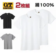 2枚組 半袖 Ｔシャツ 丸首 無地 カラー 綿100％ グンゼGTホーキンス HK10132