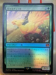 MTG 旅するチョコボ　日本語　foil