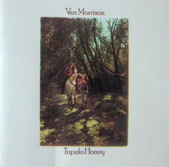 2025年最新】van morrison レコードの人気アイテム - メルカリ