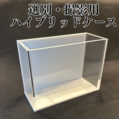 【五藤めだか】選別・撮影ハイブリッドケースAB品(白) メダカ用