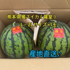 産地直送　熊本県産　スイカ×1玉(羅皇ザ　スウィート)　秀品　L～2Lサイズ(6～7キロ)