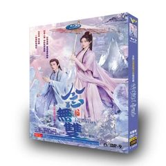 日本語字幕あり 中国ドラマ 華ドラ「念無双」DVD 全話収録 リウ・シュエイイーさん グォ・シャオティンさん 出演