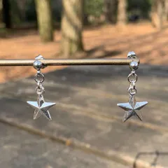 両耳 スターピアス メンズ アクセサリー ワンポイントアイテム