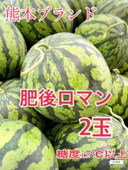 熊本県産　スイカ　肥後浪漫　3L  2玉　農家直送