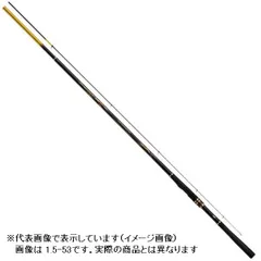 DAIWA - 【中古/美品】 ダイワ 20 トーナメントISO AGS 競技