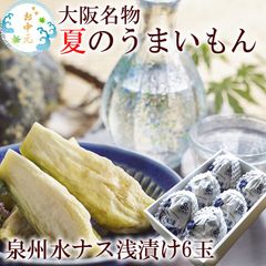 水ナス 水なす 漬物 ぬか漬け みずなす 水茄子 水ナス漬 [水なす浅漬け6個入り] 送料無料