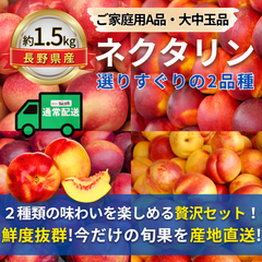 ネクタリン〜選りすぐりの2品種〜【内容量】約1.5kg【配送方法】通常配送【サイズ】L以上【品目】ネクタリン【品種】当店お任せ【産地】長野県【規格】ご家庭用A品【詰め方】パック詰め【配送までの日数】1～4日