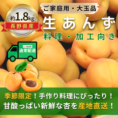 生あんず ～料理・加工用～【内容量】約1.8kg【配送方法】通常配送【サイズ】L以上【品目】杏（あんず）【品種】当店お任せ【産地】長野県【規格】ご家庭用A品B品混合【詰め方】バラ詰め【配送までの日数】1～4日