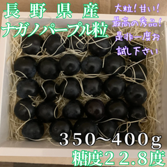 ナガノパープル 粒 長野県産 大粒 種無し 350g 400g
