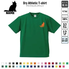 メインクーン  名入れ ドライTシャツ 半袖ドライシャツ お名前入り 練習着 レディース メンズ ウェア トップス 運動着 スポーツウェア ジョギング 吸汗速乾 チームTシャツ クラスTシャツ UVカット ピクトグラム 猫　ネコ　ねこ　キャット　ペット