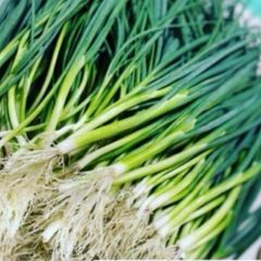 お試し25本】福岡県産 小ネギ苗 土付き - メルカリ