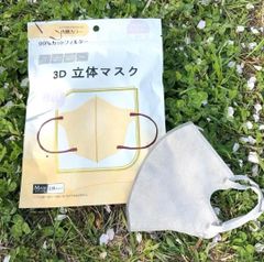 3D立体マスク　5袋　1袋10枚入り　グレー　不織布マスク　血色マスク