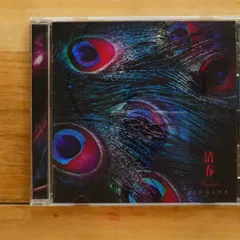 2025年最新】清春 cdの人気アイテム - メルカリ
