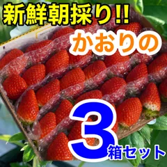 ③箱【愛媛県産】【複数割】新鮮朝採りいちご