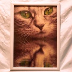 185:どアップイレブン2    猫  パロディアート  ポスター フレーム付き
