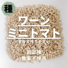 【種】ワーンミニトマト　農薬不使用　15粒