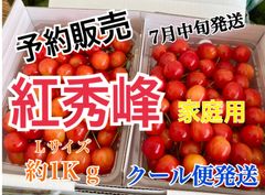 予約販売　北海道産　さくらんぼ　紅秀峰　Ｌサイズ　1Kg　家庭用　7月中旬発送