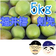 沖縄産摘果マンゴー15キロXoài xanh20〜300g - メルカリ