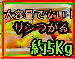 最上ランク特秀品！サンつがる約５k  全国クール便送料無料！　シーズン初収穫りんご　旬な果物　信州りんご　長野県産　フルーツ