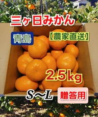 ★青島みかん【2.5kg】秀品〜良品(贈答用S〜L)【農家直送】三ヶ日みかん