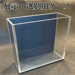 【五藤めだか】NEW❗️展示販売AB品(グレー) メダカ用 ケース 撮影 横見