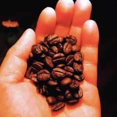 【食品】半空ブレンドコーヒー豆（250g）
