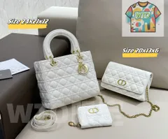 【今日WTO】DIOR バッグと財布等の魅力的なアイテム！送料無料で今の在庫はお得な価格です！-WTO輸入1-AXZ13