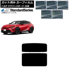 ホンダCIVIC TypeR FL5 プロテクションフィルム ピラーセット - メルカリ