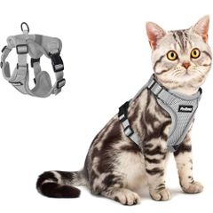 Item thumbnail for item 512342b0-0712-4eb8-b478-11e471b00868