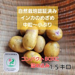 【自然栽培認証済み】インカのめざめ中粒～小ぶり1.５キロ