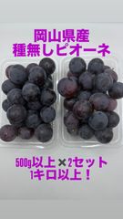 早いもの勝ち‼️初物ハウス栽培種無しピオーネ❗️1kg以上❗️化粧箱入り❗️500g✖️2パック❗️送料無料❗️岡山県産　ハウス栽培　種なし　ピオーネ　粒売り　葡萄