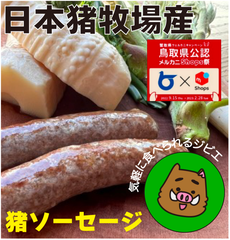 メルカニ【無添加猪ソーセージ 】60g2本×5パック鳥取県日本猪牧場の猪肉使用
