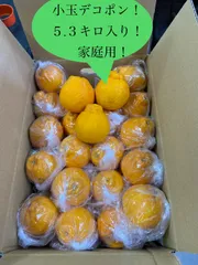 お待ちいただける方のみ宜しくお願いします。クール便発送！家庭用！ハウス栽培、小玉、デコポン(不知火)！５.３キロ、２２玉〜３０玉入り！品質味に自信あり！のサムネイル