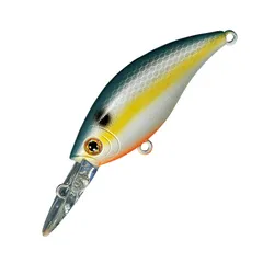 2025年最新】クランカーベイトの人気アイテム - メルカリ