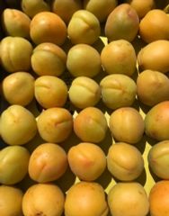 八助梅　2キロ