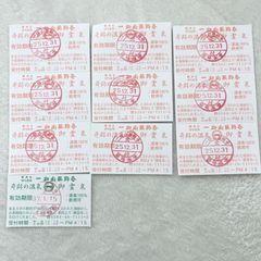 【匿名配送】一畑山薬師寺 飲める温泉 御霊泉 源泉100％  入浴チケット 10枚セット