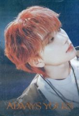 [중고] 식완 스티커 스티커 조슈아 레어 씰 [SVT 웨이퍼 하우스 FROM PLEDIS ENTERTAINMENT SEVENTEEN]