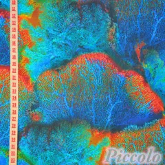 USAコットン　michael miller　Magnificent Coral　サンゴ　カラフル　約53cm×約50cm（カット済）　FB-3091