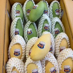 ｛毎週入荷｝*Thai Mango mix box*  生鮮 フレッシュ　タイ産グリーンマンゴー　+ タイ産ライプマンゴー　1箱～5kg